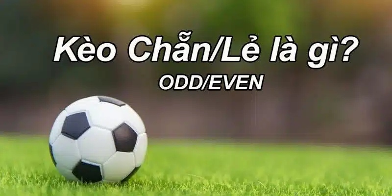 Cách cá độ chẵn lẻ bóng đá chi tiết cho người mới