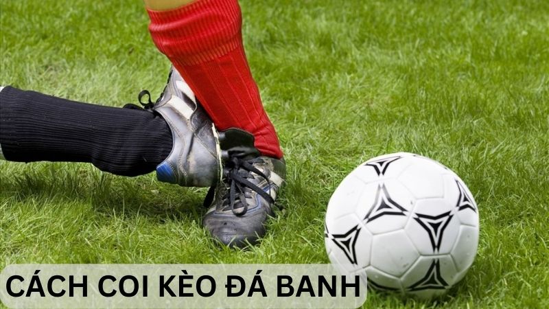 Cách coi kèo đá banh như chuyên gia độc đáo và hiệu quả