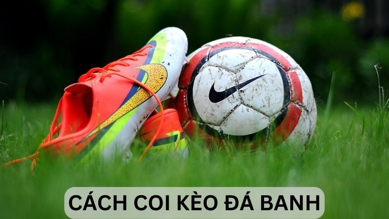 Hướng dẫn cách coi kèo đá banh chi tiết, chiến thắng liên tục