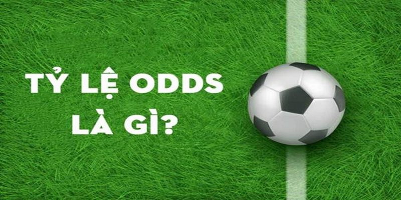 Odds hay tỷ lệ Odds trong cá độ bóng đá là các thuật ngữ rất hấp dẫn