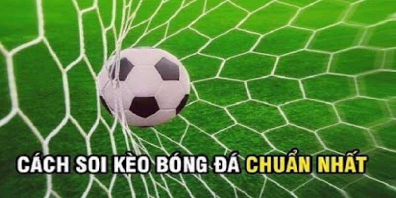 Mẹo soi kèo Tây Ban Nha tăng chính xác