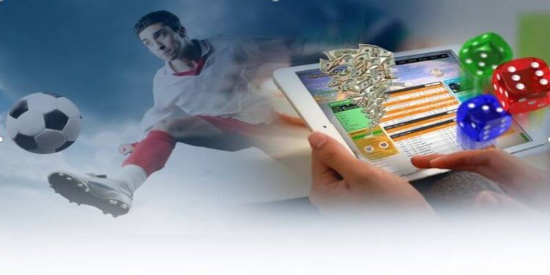 Web cá độ bóng đá hàng đầu cực hay